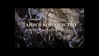 "Тайное королевство: Рождение королевства. Серия 1 (Часть 1)"