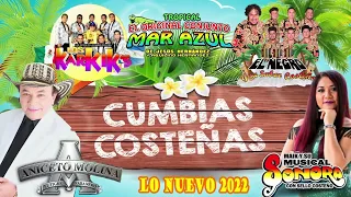 ⚡CUMBIAS COSTEÑAS MIX PARA BAILAR🤖CUMBIAS PERRONAS✨LOS KARKIKS, MAR AZUL,EL NEGRO, ANICETO MOLINA