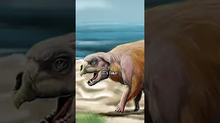 The Montauk Monster Found in New York Captured on Camera - Darkness Prevails