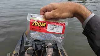 Tennessee River Fluke Fishing