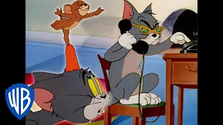 Tom y Jerry en Latino | Tu Guía de Cortos Nominados para la Premiación | WB Kids