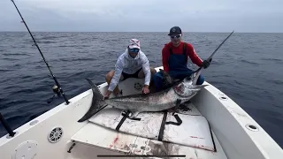 We Caught a 200+ Pound Fish 20 miles offshore in a 22-foot Boat-swordfishing