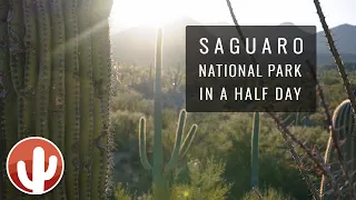 SAGUARO NATIONAL PARK - West | Signal Hill, Overlook, Discovery Trail, Gould Mine Trail | Tucson, AZ