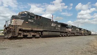 NS 9921 leads a mixed freight train in Robesonia, PA (19G)