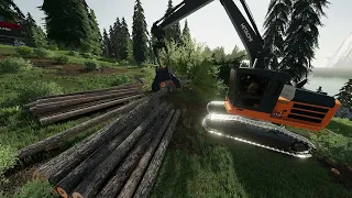 Eagle Eye Logging 1 - TimeLapse Logging - Farming Simulator - FDR Logging