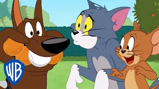 Tom & Jerry | Save the Ball! | WB Kids