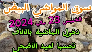 سوق المواشي البيض الخميس 23 ماي 2024