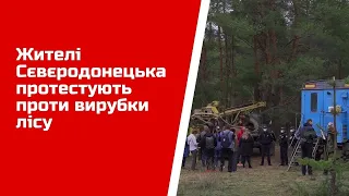 Жителі Сєвєродонецька протестують проти вирубки лісу