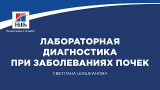 Вебинар на тему: «Лабораторная диагностика при заболеваниях почек». Лектор – Светлана Шишканова