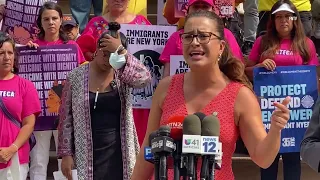 Bused Migrant Supporters Rally at City Hall