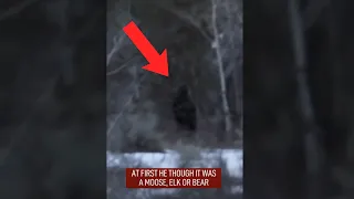 BIGFOOT CAUGHT ON CAMERA BY HIKER  | #shorts