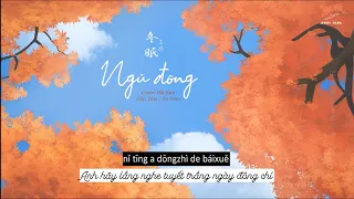 [Vietsub + Pinyin] Ngủ Đông / Đông Miên - Bất Sàm (Cover) | 冬眠 - 不馋 | Nhạc Tiktok