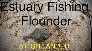 Sea Fishing Scotland - Estuary Flounder - A Very Successful Trip