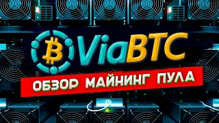 Обзор майнинг пула ViaBTC