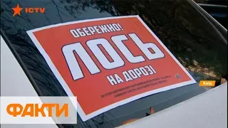 ЗупиниЛося: в Киеве нарушителям ПДД клеят наклейки на авто