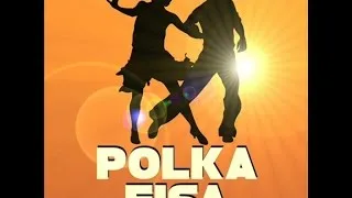 Polka accordion - polka mix for ballroom dancing evenings