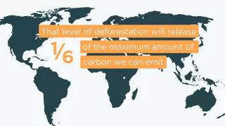 The Future of Forests