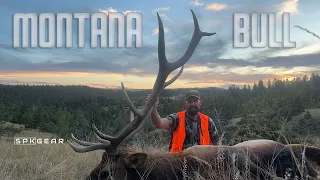 ELK HUNTING - Montana Rifle Season Bull #hunting