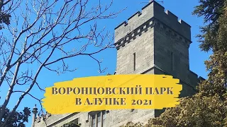 Воронцовский парк 2021. Пешком из санатория Ай-Петри (Кореиз)