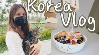 DAILY KOREA VLOG / Что едят корейцы летом? / Перестановка в корейской квартире / Покупки