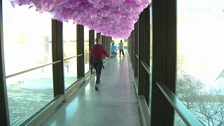 MCAD skyway filled with thousands of love notes as part of new exhibition