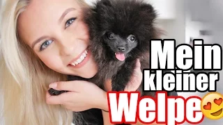 Sorgen um meinen Welpen Zula ? - Mein Haustier TAG | Dagi Bee