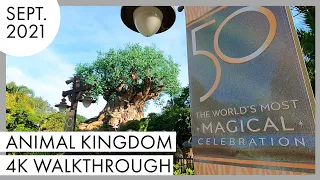Animal Kingdom 4K Walkthrough | September 2021 | Walt Disney World - Orlando, FL |