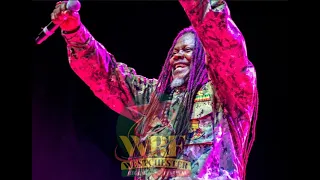 Luciano Performance at Westchester Reggae Festival 2023