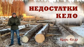 Недостатки КЕЛО. СУХОСТОЙ в строительстве.