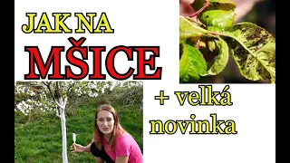 JAK NA MŠICE NA OVOCNÝCH STROMECH | Jarní práce na zahradě v dubnu a velká novinka