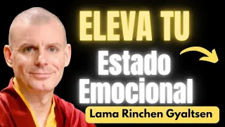 🟡 Cómo sentirse bien emocionalmente / Lama Rinchen Gyaltsen