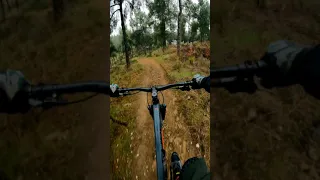 Shooting vertical with GoPro 9 Cube Reaction TM Pro Mtb Riding