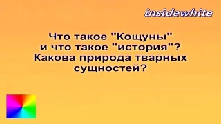 Трехлебов А.В. Что такое ИСТОРИЯ, природа тварных сущностей, КОЩУНЫ