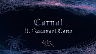 CARNAL (Lyric Video) - Peso Pluma, Natanael Cano