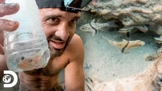 Ed tira vantagem do lixo para pescar | Ed Stafford, o sobrevivente | Discovery Brasil