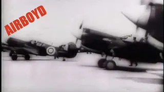 Australian Curtiss P-40 Kittyhawks