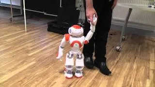 NAO Robot - Follow Me
