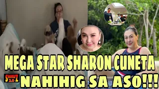 Mega star 'SHARON CUNETA' nahihilig mag alaga ng aso