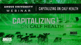 Capitalizing on Calf Health | WEBINAR - March 30th, 2021