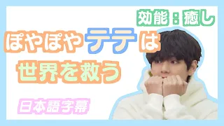 【BTS日本語字幕】ぽやぽやテテは世界を救う。