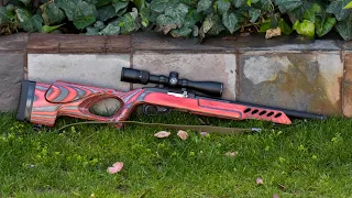 Firearms Review: Ruger 10-22 Target Lite