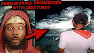 Unbelievable Encounters With Creatures That Will Give You The Chills | REACTION