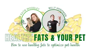 Coconut Oils & Other Healthy Fats For Pets