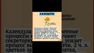 польза календулы для печени #народнаямедицина #здоровье #медицина