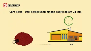 How it works - Plantation to mills in 24 hours (Bahasa Indonesia Subtitles)