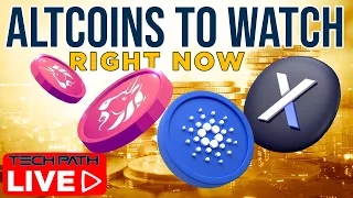 Altcoins To Watch Right Now | UNI, DYDX, ADA + Viewer Questions LIVE