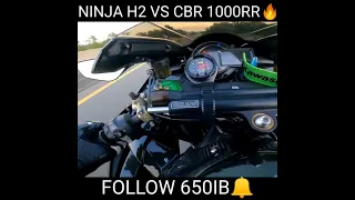 ninja h2 vs cbr 1000rr fireblade 🔥#shorts #motovlog #zx10r #ninjah2