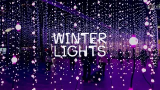 ✨FREE LIGHT FESTIVAL ✨ WINTER LIGHTS AT CANARY WHARF