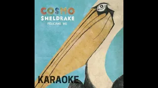 [KARAOKE] The Fly - Cosmo Sheldrake