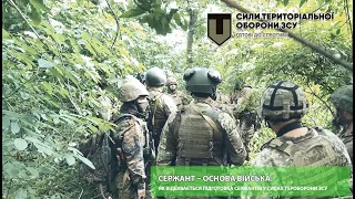 Сержант – основа війська. Як відбувається підготовка сержантів у Силах тероборони ЗСУ